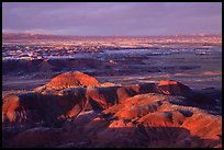 Multi-hued badlands of  Painted desert seen from Chinde Point. Petrified Forest National Park, Arizona, USA.