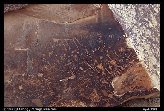 Petroglyphs on Newspaper Rock. Petrified Forest National Park (color)
