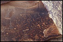 Petroglyphs on Newspaper Rock. Petrified Forest National Park, Arizona, USA. (color)