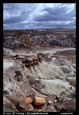 Petrifieds logs and Blue Mesa, mid-day. Petrified Forest National Park, Arizona, USA.