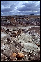 Petrified logs and Blue Mesa, mid-day. Petrified Forest National Park, Arizona, USA.