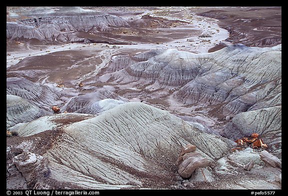 Fossilized logs and Blue Mesa, mid-day. Petrified Forest National Park, Arizona, USA.