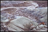 Fossilized logs and Blue Mesa, mid-day. Petrified Forest National Park, Arizona, USA.