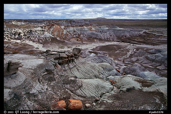 Petrifieds logs and Blue Mesa, mid-day. Petrified Forest National Park, Arizona, USA.