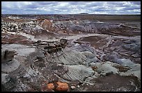 Petrifieds logs and Blue Mesa, mid-day. Petrified Forest National Park, Arizona, USA.