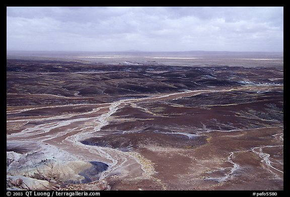 Dendritic drainage patterns, Blue Mesa, mid-day. Petrified Forest National Park (color)