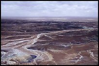 Dendritic drainage patterns, Blue Mesa, mid-day. Petrified Forest National Park, Arizona, USA. (color)