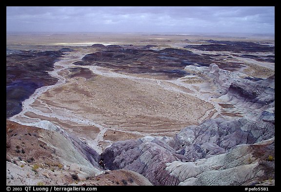 Badlands and Dendritic drainage patterns, Blue Mesa, mid-day. Petrified Forest National Park, Arizona, USA.