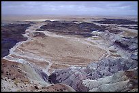 Badlands and Dendritic drainage patterns, Blue Mesa, mid-day. Petrified Forest National Park, Arizona, USA.