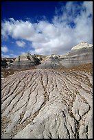 Eroded badlands of  Chinle Formationon, Blue Mesa. Petrified Forest National Park, Arizona, USA. (color)