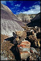 Colorful fossilized logs in Blue Mesa, afternoon. Petrified Forest National Park, Arizona, USA.