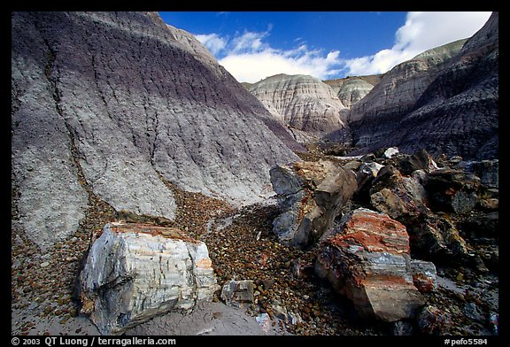 Colorful petrifieds logs in Blue Mesa, afternoon. Petrified Forest National Park (color)