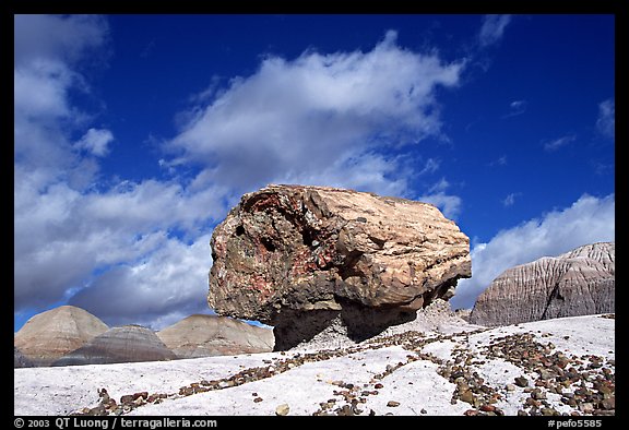 Pedestal petrified log in Blue Mesa, afternoon. Petrified Forest National Park (color)