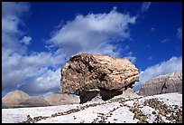 Pedestal petrified log in Blue Mesa, afternoon. Petrified Forest National Park ( color)