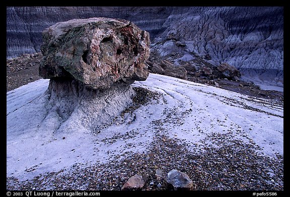 Pedestal petrified log in Blue Mesa, afternoon. Petrified Forest National Park (color)