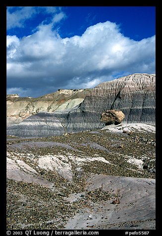 Blue Mesa badlands and pedestal fossilized log, afternoon. Petrified Forest National Park, Arizona, USA.