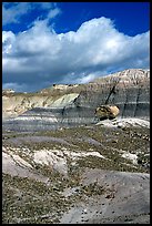 Blue Mesa badlands and pedestal fossilized log, afternoon. Petrified Forest National Park, Arizona, USA.