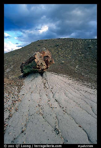 Pedestal petrified log in Blue Mesa, afternoon. Petrified Forest National Park (color)