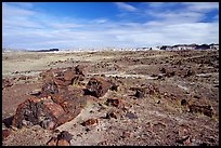 Long Logs area, with highest concentration of petrified wood in  Park, morning. Petrified Forest National Park, Arizona, USA. (color)