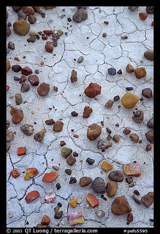 Close up of small pieces of petrified wood and clay pattersn. Petrified Forest National Park (color)