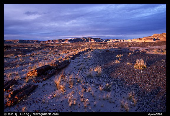 Last light, Long Logs area, sunset. Petrified Forest National Park (color)