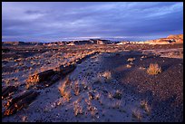 Last light, Long Logs area, sunset. Petrified Forest National Park, Arizona, USA.