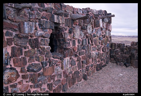 Agate House built with fossilized wood. Petrified Forest National Park (color)