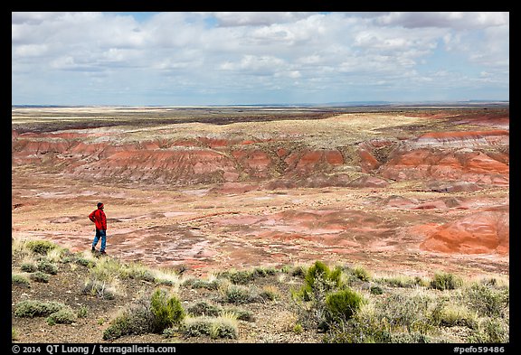 Visitor looking, Painted Desert near Tiponi Point. Petrified Forest National Park, Arizona, USA.