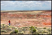 Visitor looking, Painted Desert near Tiponi Point. Petrified Forest National Park, Arizona, USA.