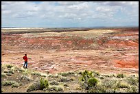 Visitor looking, Painted Desert near Tiponi Point. Petrified Forest National Park ( color)