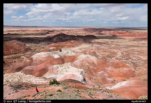 Visitor looking, Painted Desert near Tawa Point. Petrified Forest National Park (color)