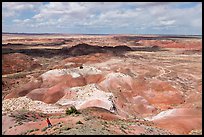 Visitor looking, Painted Desert near Tawa Point. Petrified Forest National Park, Arizona, USA.