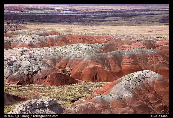 Painted Desert from Tawa Point. Petrified Forest National Park (color)