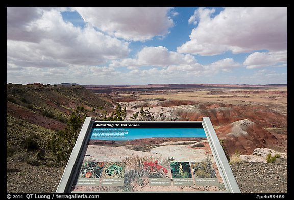 Interpretive sign, Painted Desert near Tawa Point. Petrified Forest National Park, Arizona, USA.