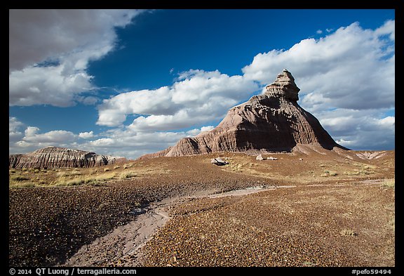 Salomons Throne. Petrified Forest National Park (color)