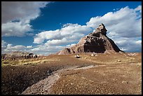 Salomons Throne. Petrified Forest National Park ( color)