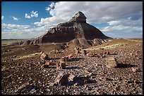 Petrified wood and Salomons Throne. Petrified Forest National Park ( color)