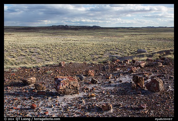 Petrified wood and plain. Petrified Forest National Park (color)