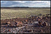 Petrified wood and plain. Petrified Forest National Park ( color)