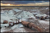 Broken logs of petrified wood at sunset, Crystal Forest. Petrified Forest National Park ( color)