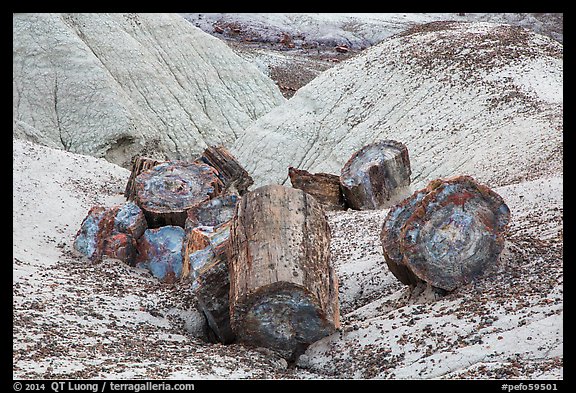 Broken logs of colorful petrified wood, Crystal Forest. Petrified Forest National Park (color)