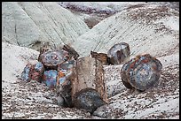 Broken logs of colorful petrified wood, Crystal Forest. Petrified Forest National Park ( color)