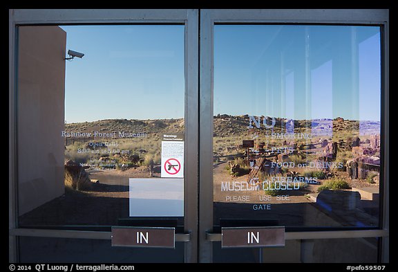 Giant Logs, Rainbow Forest Museum  window reflexion. Petrified Forest National Park (color)