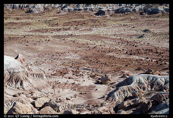 Badlands and petrified wood, Jasper Forest. Petrified Forest National Park (color)