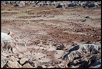 Badlands and petrified wood, Jasper Forest. Petrified Forest National Park ( color)