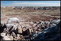 Valley covered with petrified wood, Jasper Forest. Petrified Forest National Park ( color)