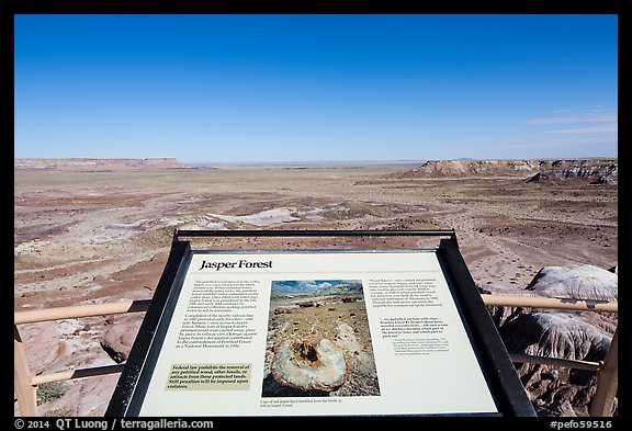 Interpretive sign, Jasper Forest. Petrified Forest National Park (color)