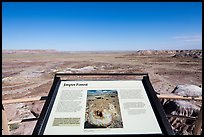 Interpretive sign, Jasper Forest. Petrified Forest National Park ( color)