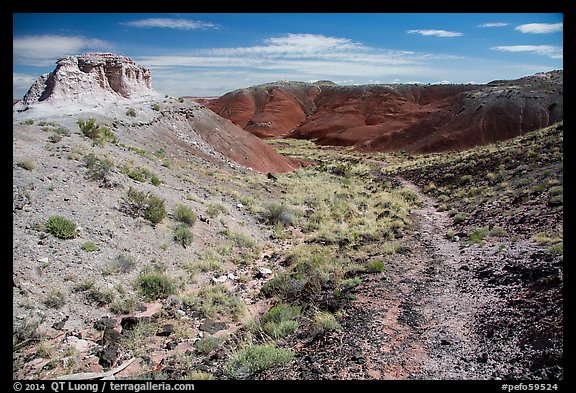 Trail, Painted Desert. Petrified Forest National Park, Arizona, USA.