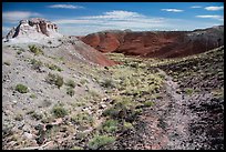 Trail, Painted Desert. Petrified Forest National Park, Arizona, USA.